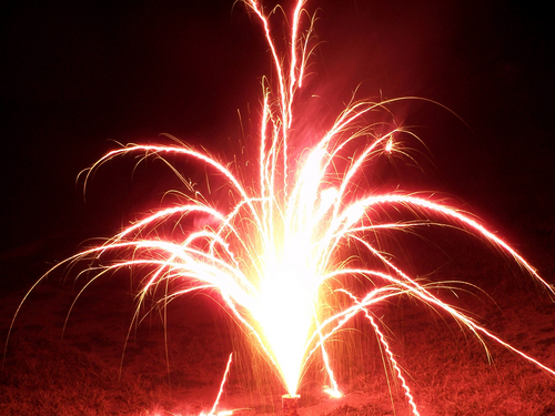 Fireworks shot in the backyard.